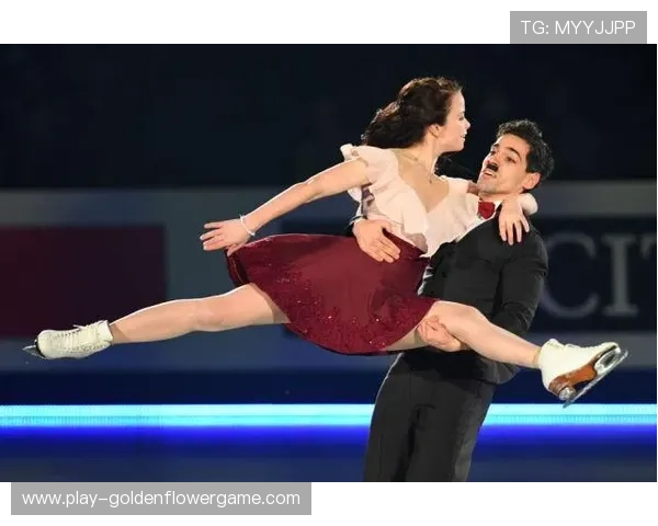 冬奥资格赛赛制优化提案提交国际滑联