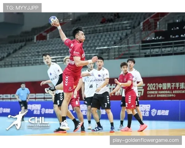 评论：VAR技术引入手球赛事？国际手联技术委员会展开辩论